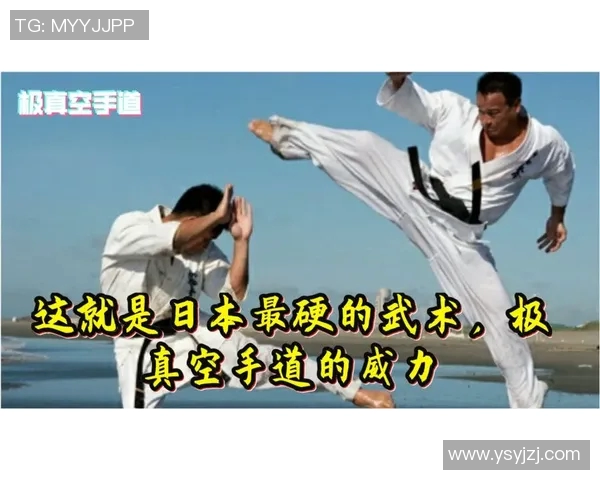 日本空手道与太极拳的对决探讨传统武术的精髓与哲学